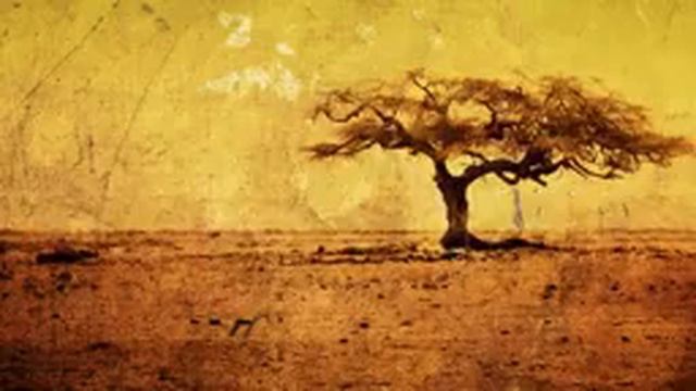 Blood Diamond Solomon Vandy James Newton Howard