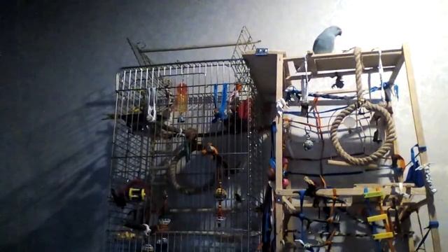 заманиваем Шуру на игровую площадку смотреть онлайн