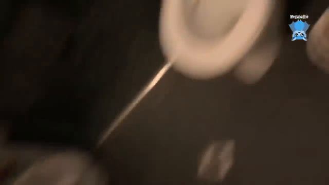 Baby flying-fox cries all the time: this is Fussbudget at midnight смотреть онлайн