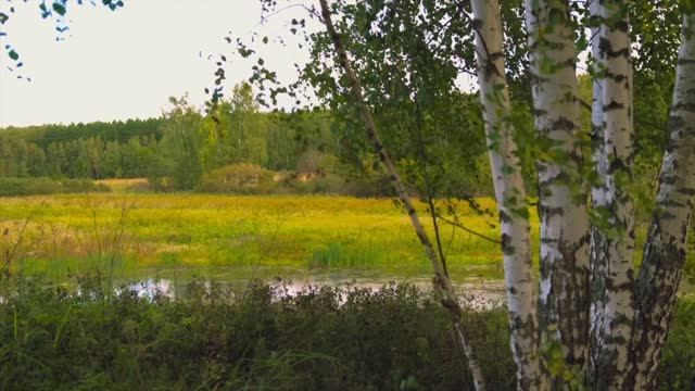 Железня Заокский район Тульской области 89 смотреть онлайн