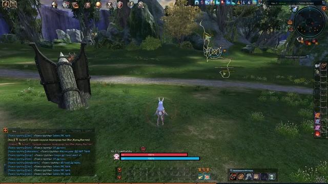 TERA Aceron