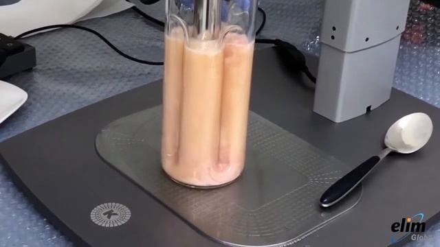 Chicken Skin 균질화 (POLYTRON PT-6100D) - 식품 제조 смотреть онлайн