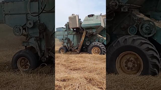 Продам комбаїн нива ск5-м1 смотреть онлайн