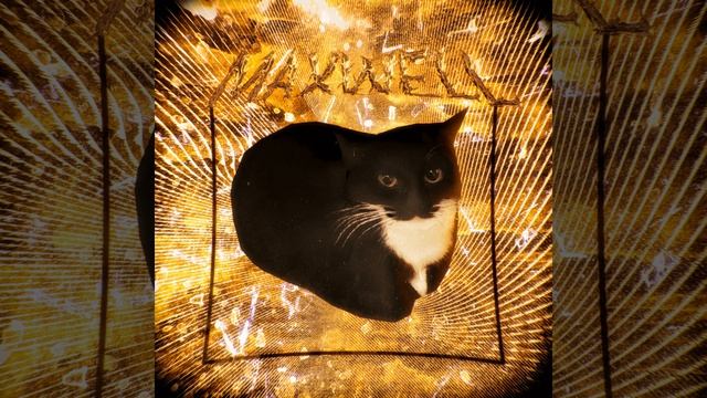 MAXWELL CAT PHONK