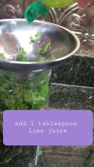 Creating in season Pico de Gallo - we have onions from last year and cilantro is boomin смотреть онлайн