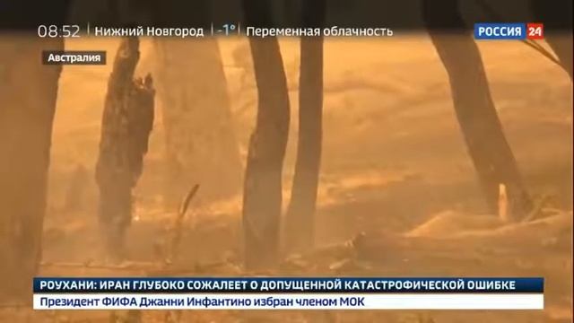 Огненный кошмар почему горит Австралия Россия 24 смотреть онлайн