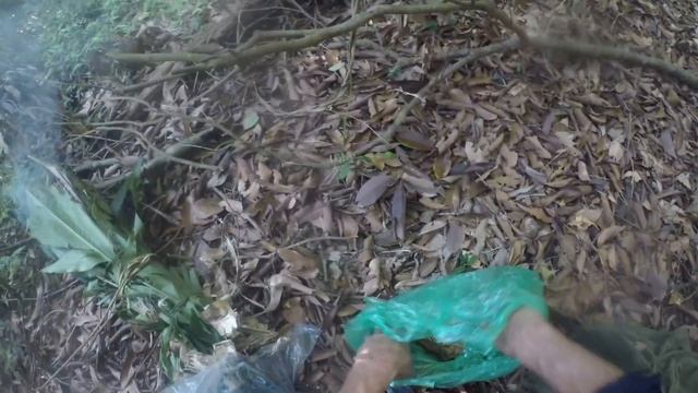 SOLO CUTTING THE FIRST BEEHIVE IN THE SEASON & ENCOUNTERING STRANGER IN THE FOREST смотреть онлайн