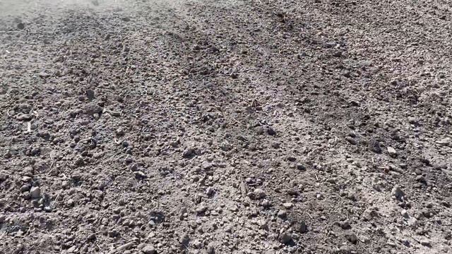 Культивація під соняшник 🌻 культиватори від Гермес КПС 3.7🔥 смотреть онлайн