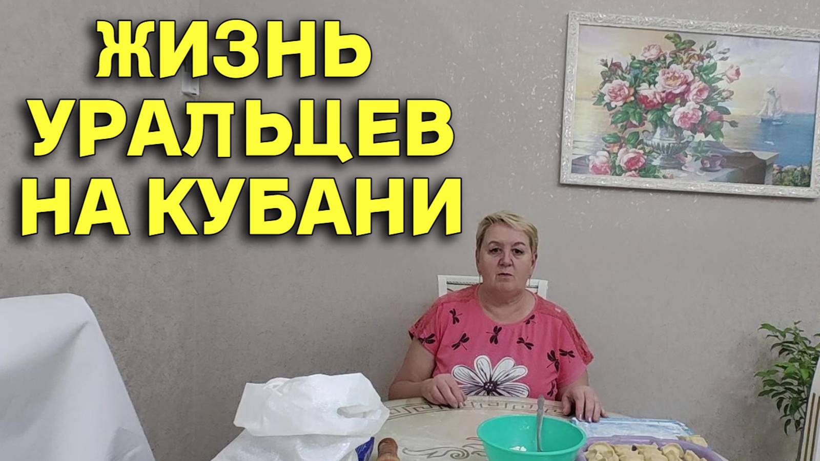 801ч Жизнь семьи на юге России/Переехали жить на Кубань/Купили новый дом смотреть онлайн