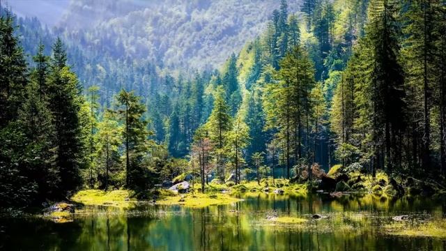Zen Garden Sounds for Deep Relaxation and Sleep #relax #relaxing calm music смотреть онлайн