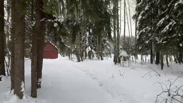 ЗУ :6197 д. Поварово смотреть онлайн