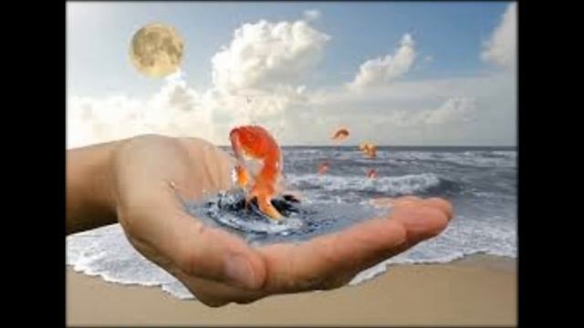 Эффективный заработок в интернете смотреть онлайн