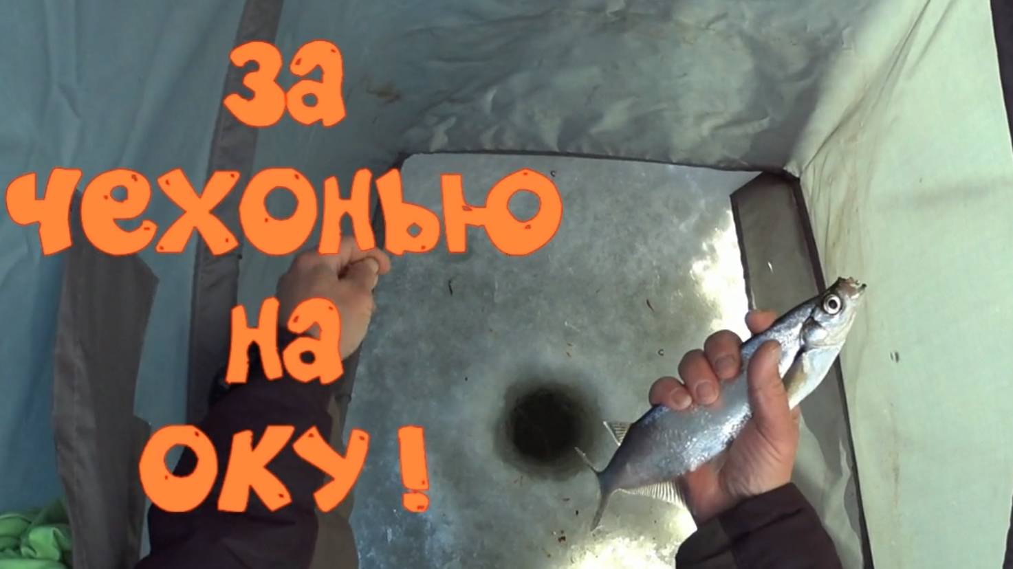 За чехонью на Оку !