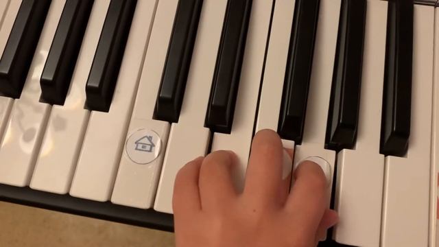 Liza. Упр-е "По болоту" левой рукой терции 4-2, 3-1 пальчиками нон легато смотреть онлайн