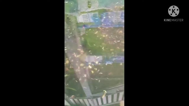 Danio glofish смотреть онлайн