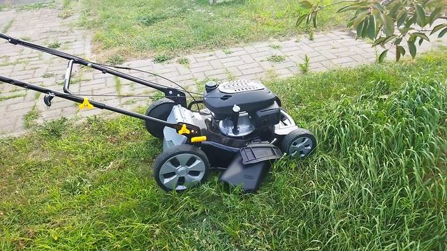 Газонокосилка ALPINA CP 534 бензиновая, самоходная бензиновая газонокосилка смотреть онлайн