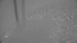 аналитический монтаж, Дмитрий