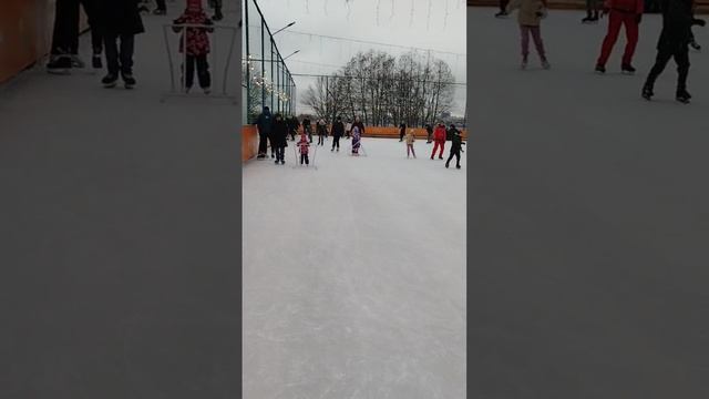 Каток в смарт парке Дельфин Воронеж сегодня 24.01.2025. Где покататься на коньках в Воронеже, Ж/д смотреть онлайн
