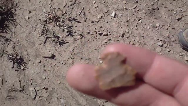 Arrowhead Hunting NM смотреть онлайн