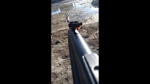 Как Стреляет ВОЗДУШКА мр 512-с? [ПОЛНЫЙ ОБЗОР]