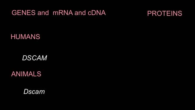 Guidelines for Formatting Gene and Protein Names смотреть онлайн