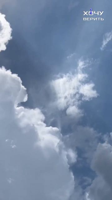 Танцующий луч над Флоридой смотреть онлайн