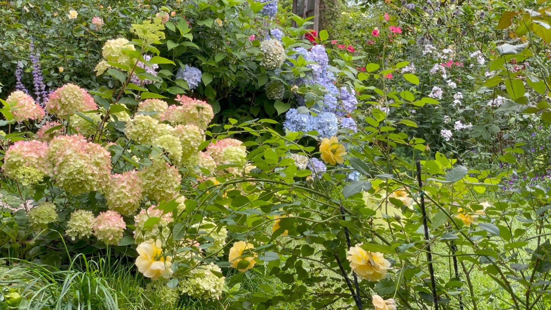 Август в Саду 30 августа 2023 часть 2