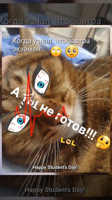 С днём студента