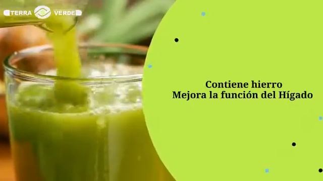 Centro Naturista Terra Verde – Francisco Bilbao # 398 – Coyhaique. Kale смотреть онлайн