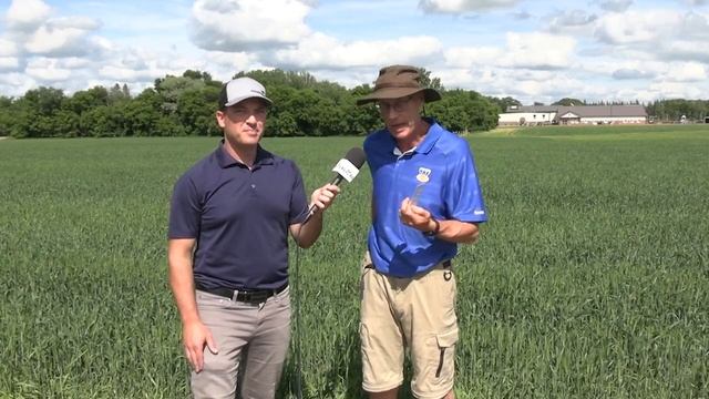 Soil School: New online calculator provides quick estimate of nutrient removal смотреть онлайн