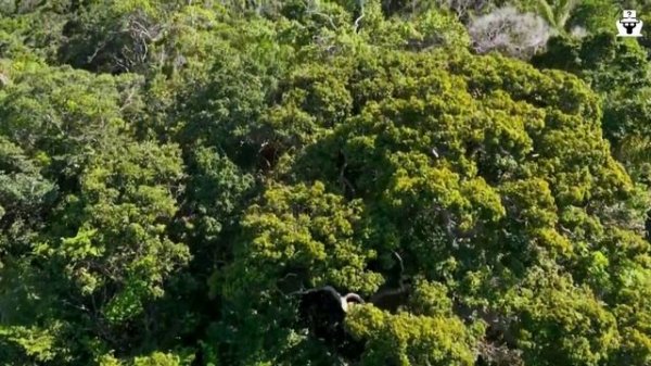 Interesting random science facts that make you amaze