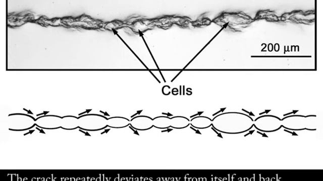 Stress Corrosion of High Strength Steel смотреть онлайн