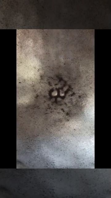 Green Mango sweet curry sauce recipe! | kairee kee meethee chatanee! | myindianhomemadefood смотреть онлайн