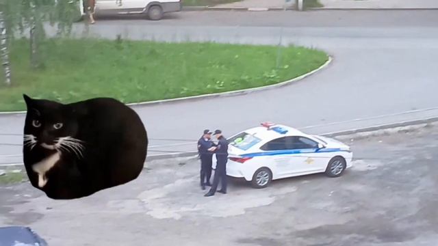 Максвелл кэт 11 смотреть онлайн