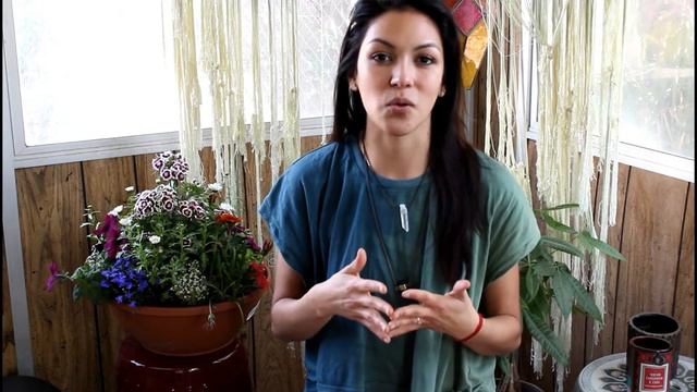 Plant Based Vegan Backstory + Harissa Hummus смотреть онлайн