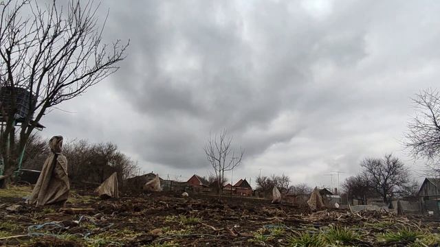 30/01/2023. Time-lapse. Зимняя конвекция. Температура воздуха +8°С. смотреть онлайн