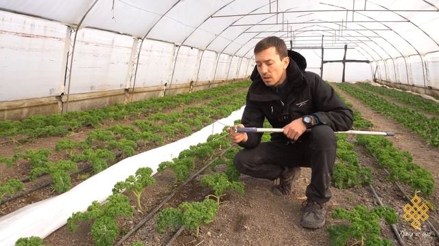 Най-добрия инструмент за плевене смотреть онлайн