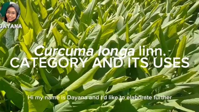 Assignment Pharmacognosy-Group 9 Short Documentary Video Of Curcuma Longa Linn. (Turmeric)