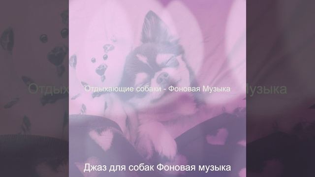 Атмосфера (Отдыхающие собаки) смотреть онлайн