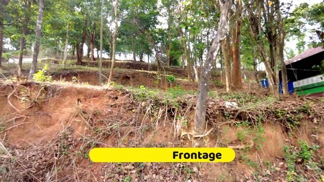Beautiful 32 Cent Land #forsale near #mysore Highway #mananthavady #wayanad #realestate смотреть онлайн