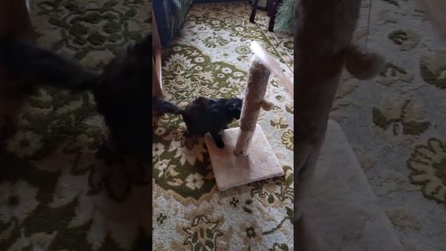 Устранение недоработок или калибровка устройства на тестовом стенде смотреть онлайн