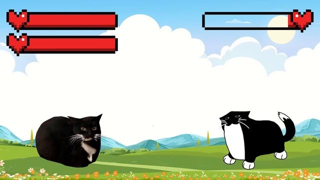 Maxwell Cat Vs Maxwell Cat Meme Video 02