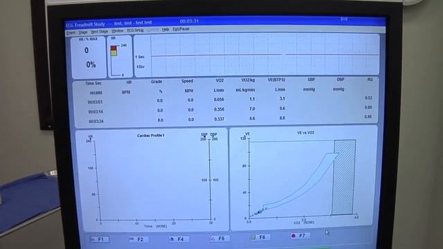 Resting Metabolic Rate смотреть онлайн
