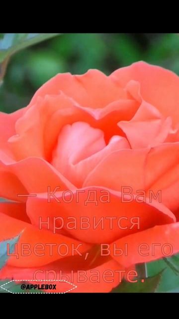 #SHORTS В чём разница меджу Нравится и Люблю смотреть онлайн