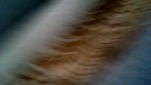 Захват канала смотреть онлайн
