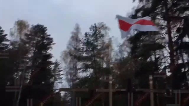 Атмосфера в Куропатах невероятная. смотреть онлайн