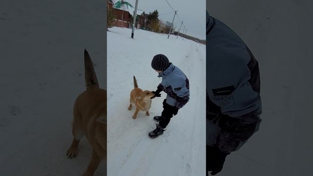 Кирилл смотреть онлайн