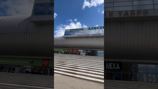 Ипподром #shortvideo #shorts #ипподром #кони #лошади #уфа #россия смотреть онлайн