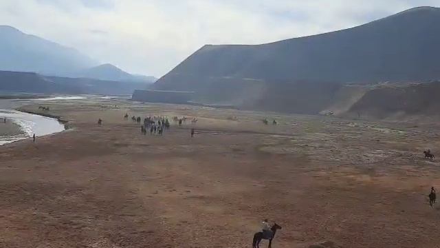 Бузкаши 2 Н Дангара 2022 смотреть онлайн