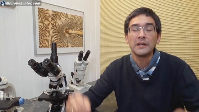 🔬 When should one buy a better microscope? | Amateur Microscopy смотреть онлайн